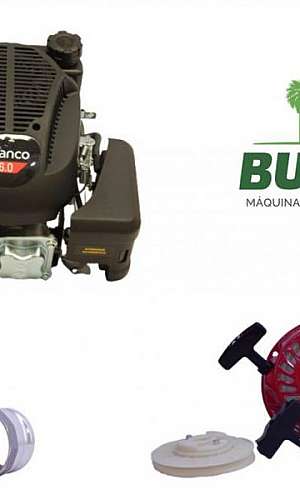 motor estacionario gasolina motor estacionario gasolina