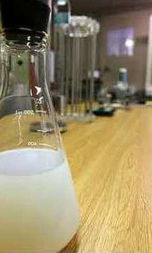 Resina monocomponente transparente Resina monocomponente transparente